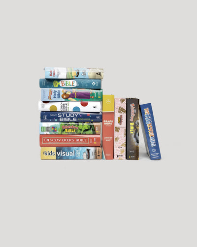 Children's Bibles