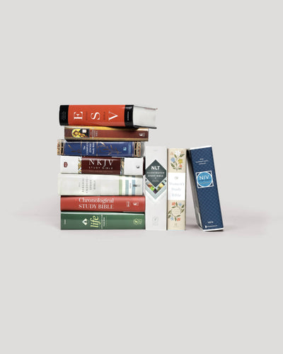Study Bibles