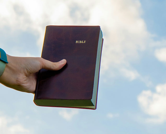 Bibles (test)