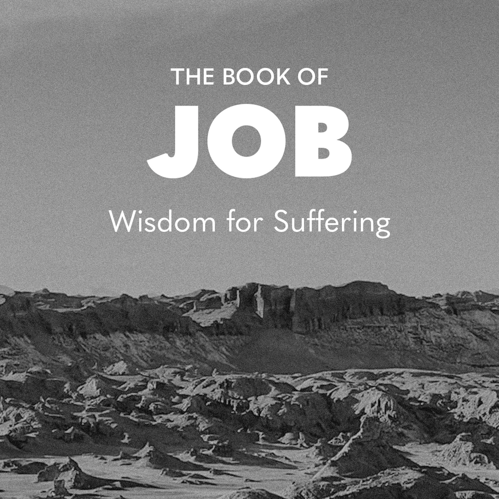 Wisdom for Suffering