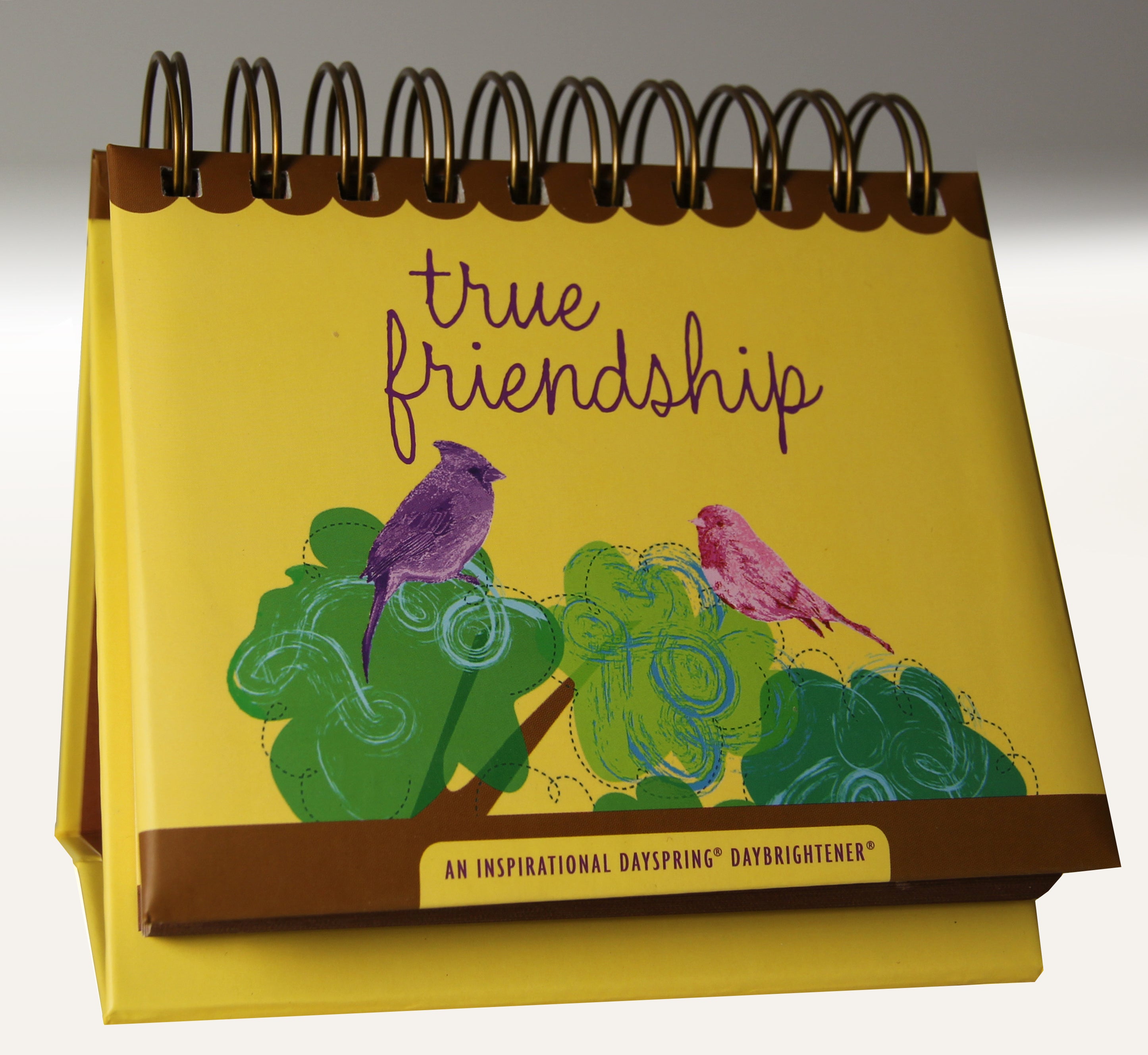 Daybrighteners: True Friendship (Padded Cover)