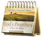 Daybrighteners: God's Promises (Padded Cover)