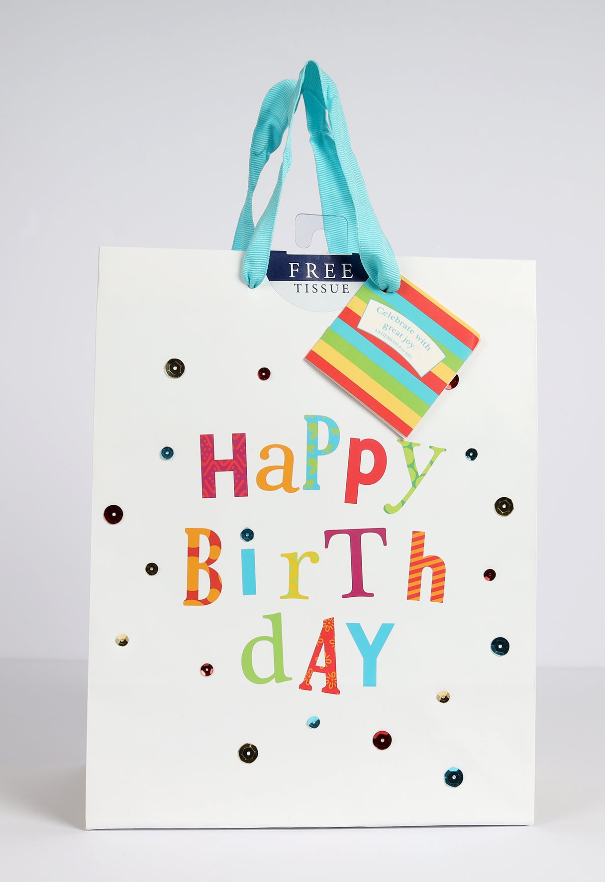 Gift Bag Medium: Birthday Fun (Incl Two Sheets Tissue Paper & Gift Tag)