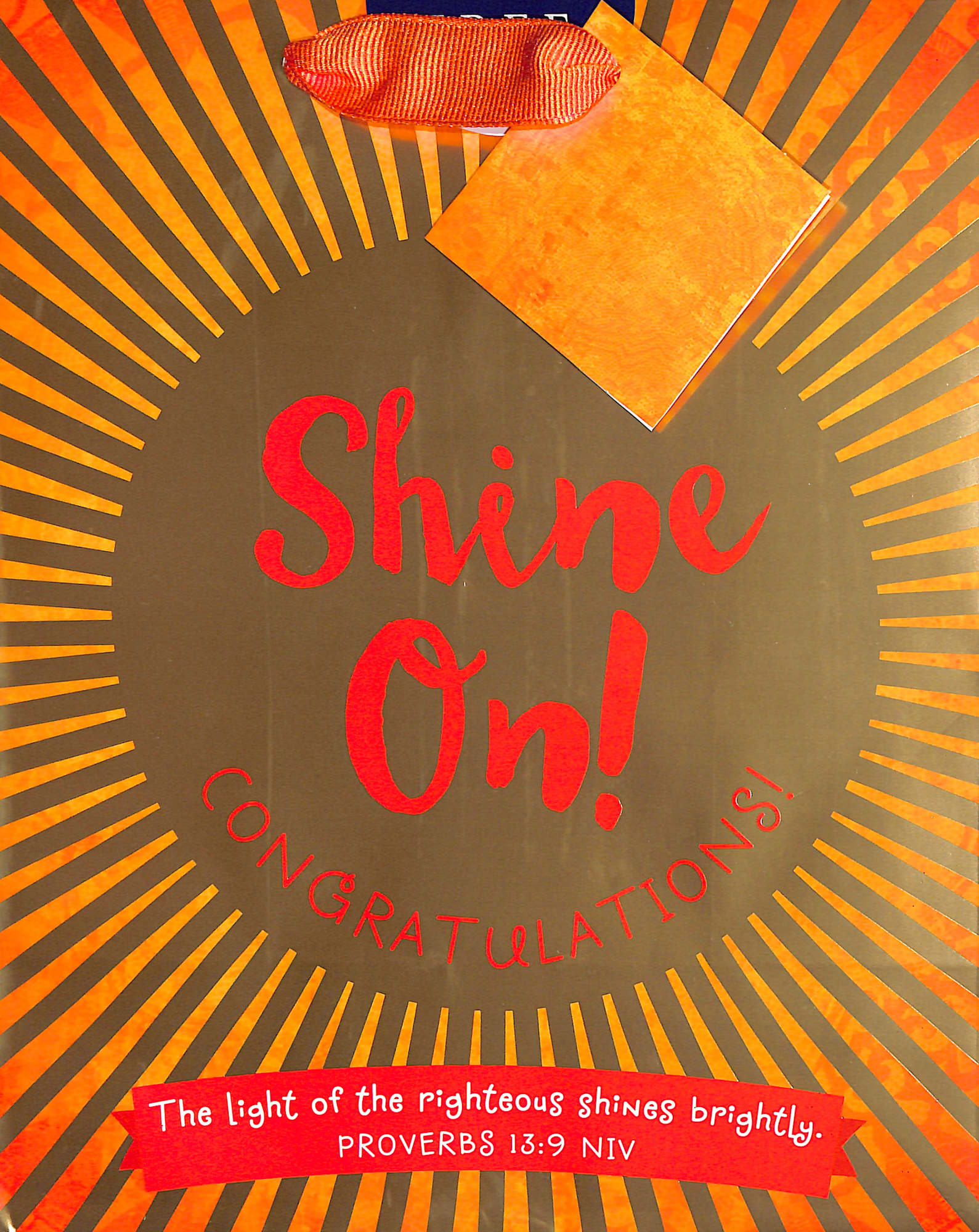 Gift Bag Medium: Shine On! (Incl Tissue Paper & Gift Tag)