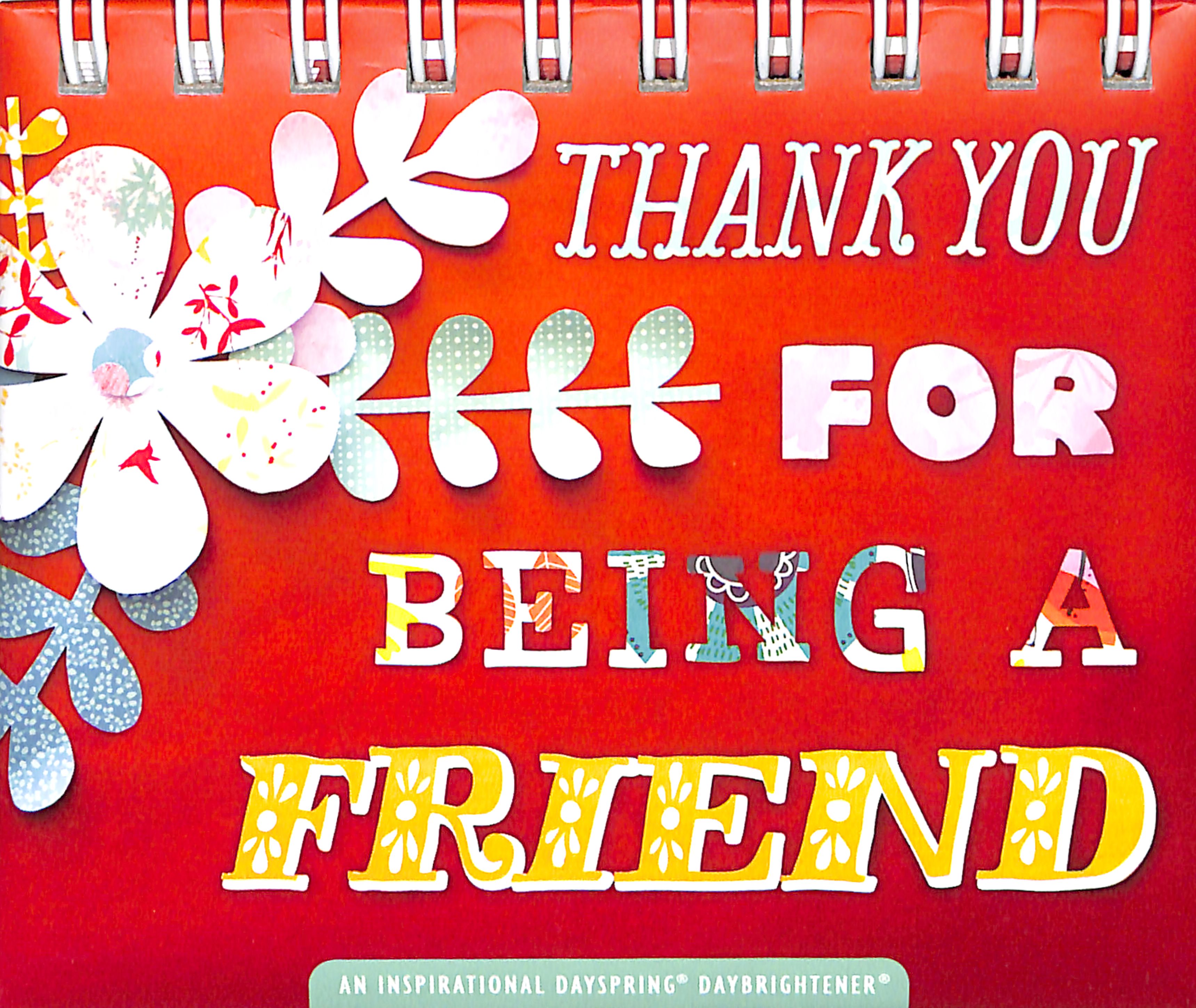 Daybrighteners: Thank You For Being a Friend (Padded Cover)