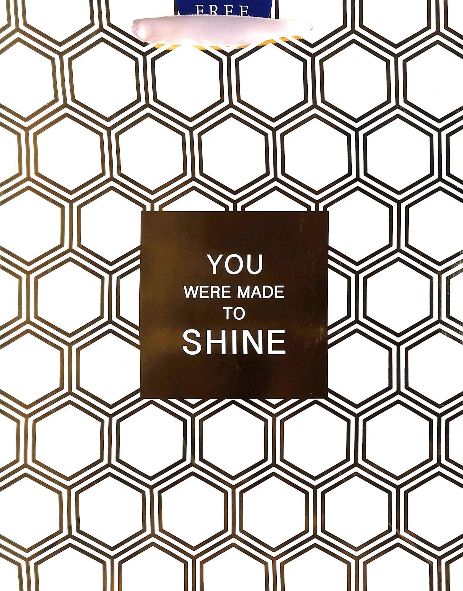 Gift Bag Large: Gold Hexies, You Were Made to Shine (Incl Two Sheets Tissue Paper)