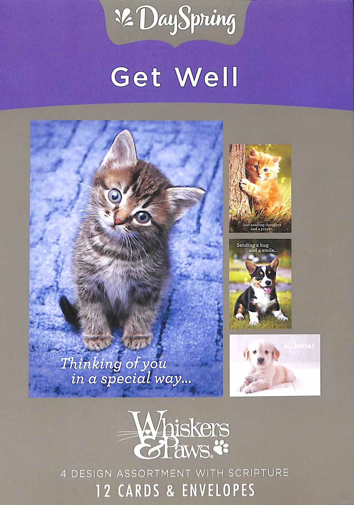 Boxed Cards Get Well: Whisker & Paws (Kjv)