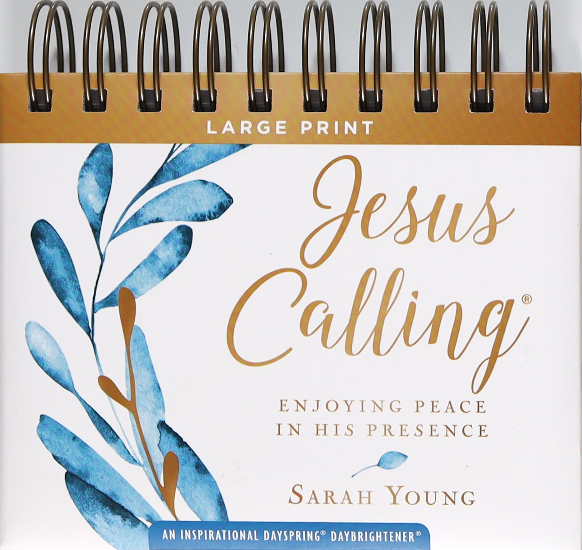 Daybrighteners: Jesus Calling Large Print (Padded Cover)