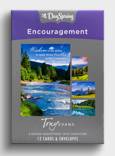 Boxed Cards Encouragement (Csb)