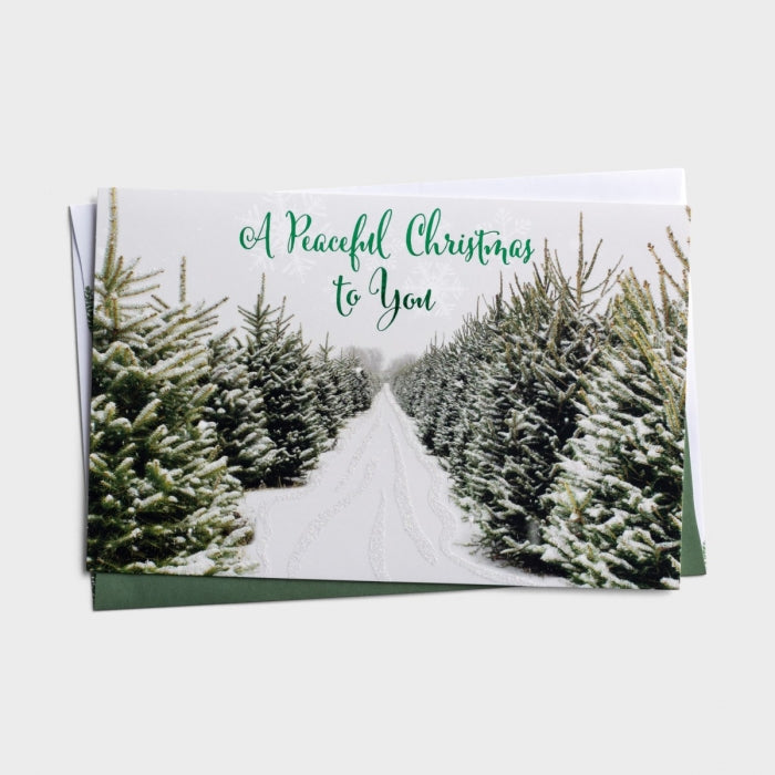 Christmas Boxed Cards: Peaceful Christmas to You