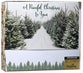 Christmas Boxed Cards: Peaceful Christmas to You