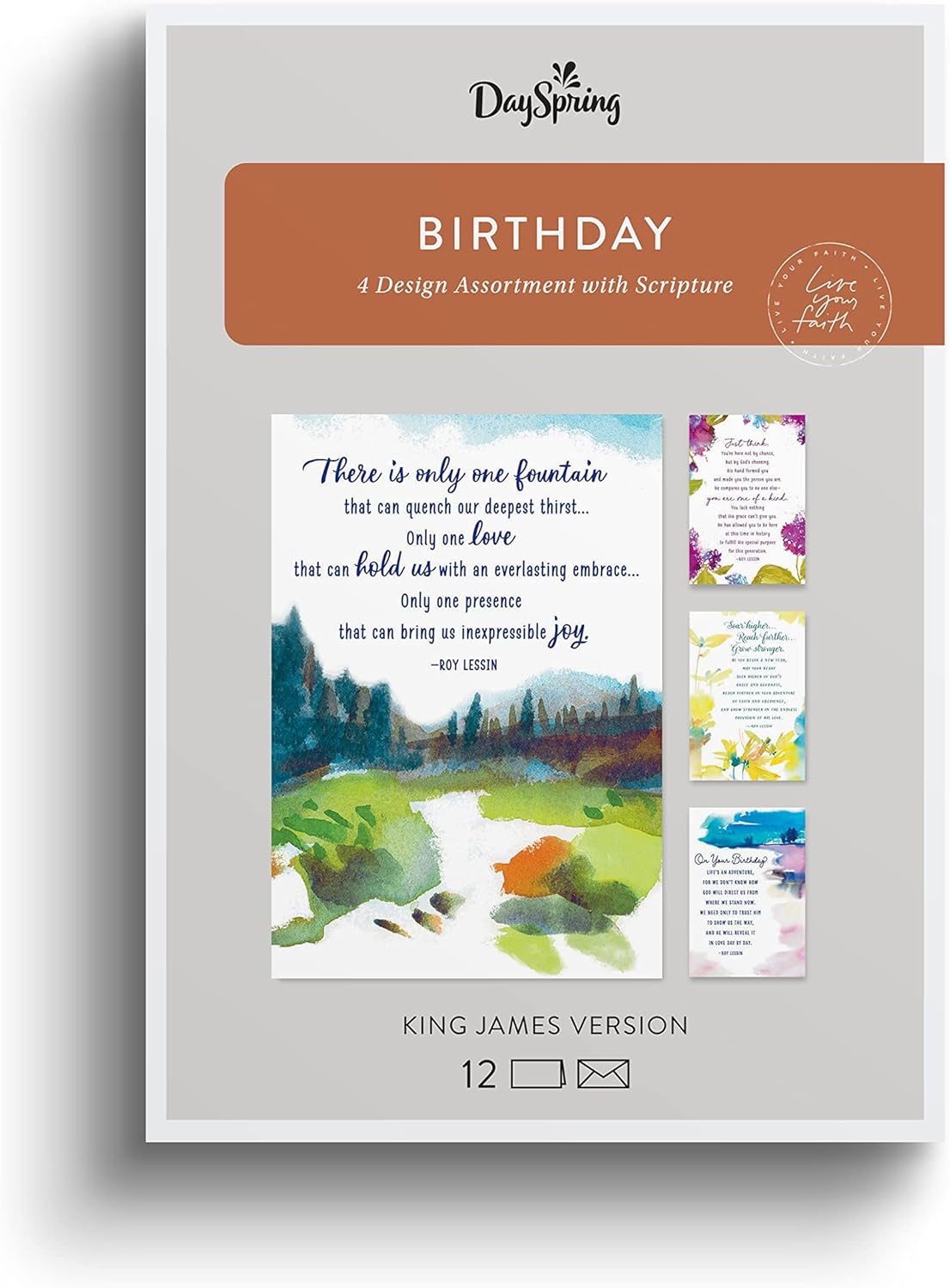 Boxed Cards Birthday: Roy Lessin watercolours (3 each of 4 designs, 12 white envelopes)