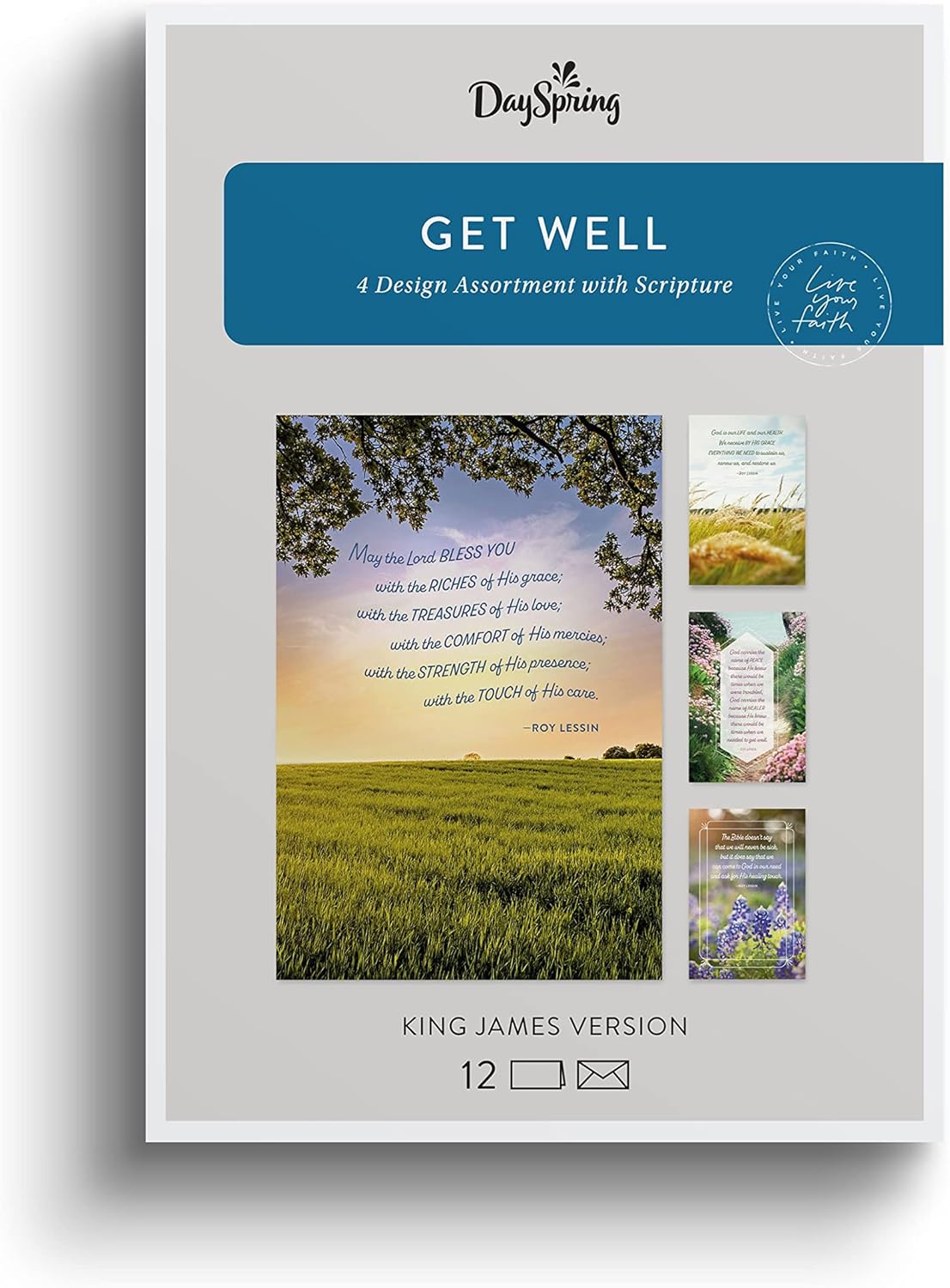 Boxed Cards Get Well: Roy Lessin Landscapes, KJV (3 each of 4 designs, 12 white envelopes)