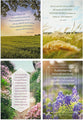Boxed Cards Get Well: Roy Lessin Landscapes, KJV (3 each of 4 designs, 12 white envelopes)