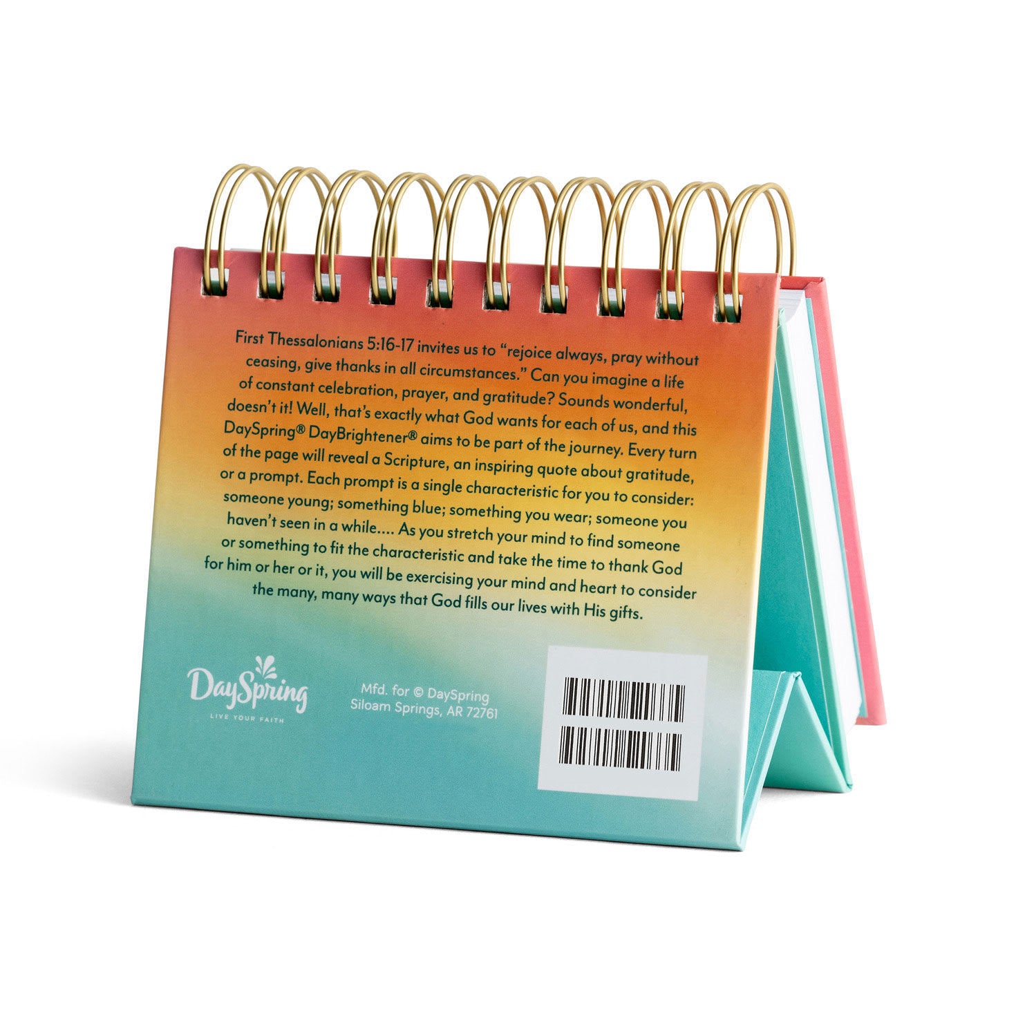 DayBrighteners Perpetual Calendar: In all Things Thanks (Padded Cover)