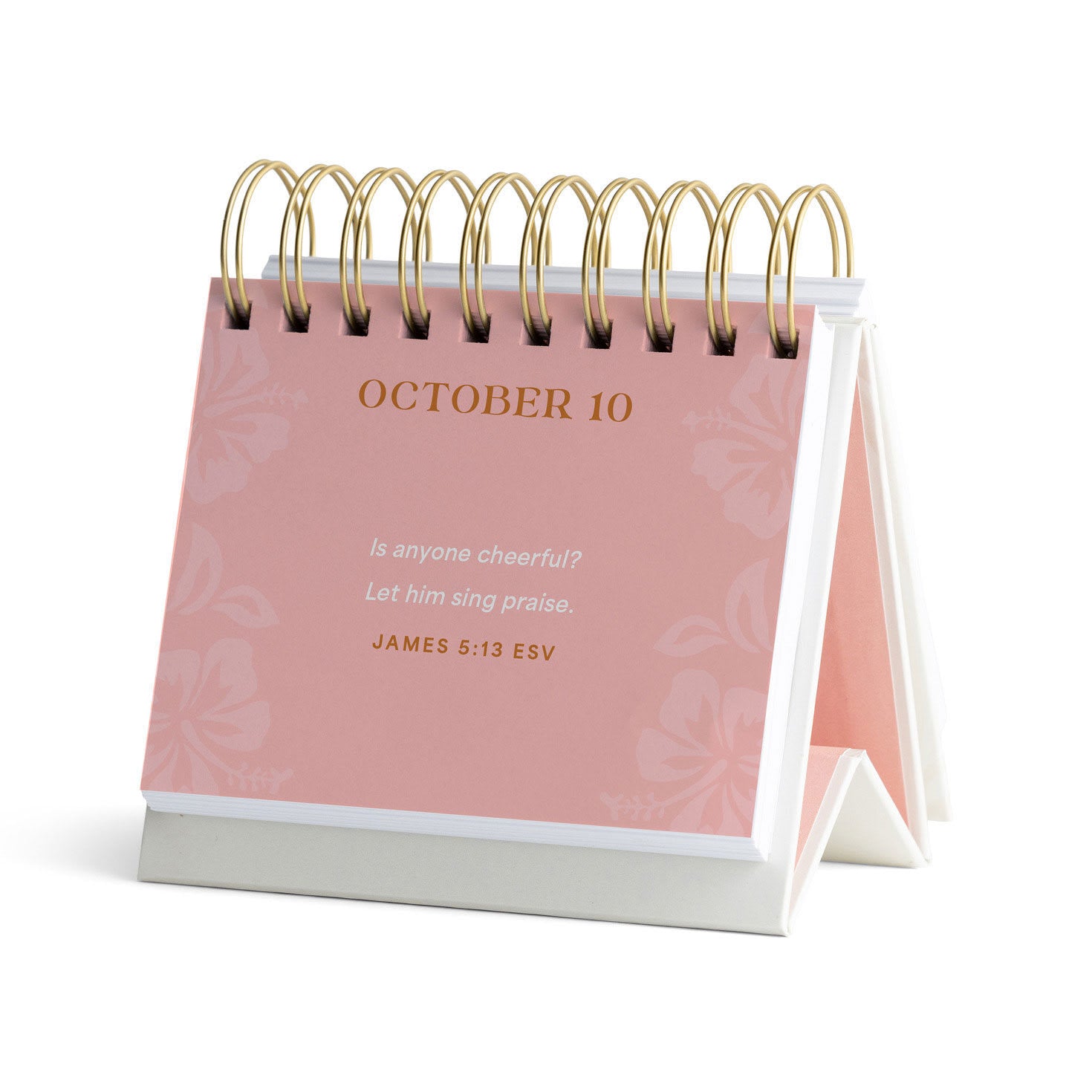 DayBrighteners Perpetual Calendar: Hot Rollers and the Holy Spirit (Padded Cover)