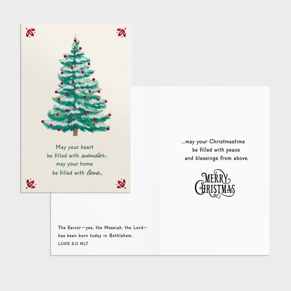 Christmas Boxed Cards: Plaid & Tree Assortment (18 cards/coloured envelopes, 9 each of 2 designs)