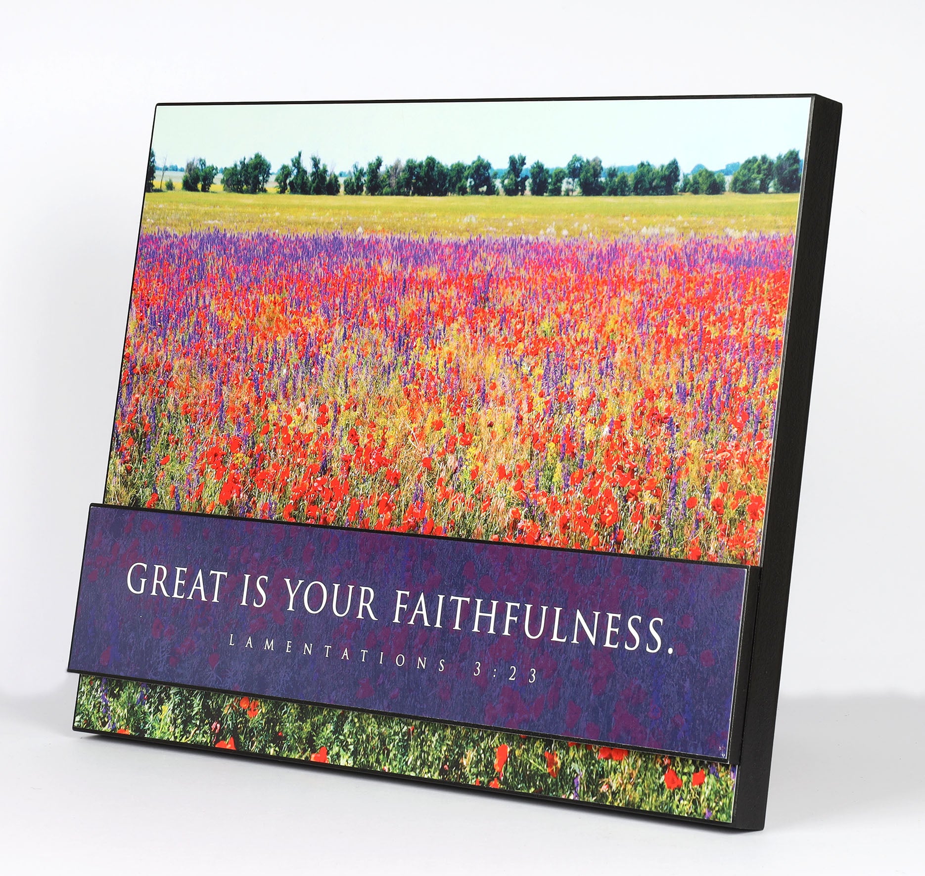Wall Art: Great is Your Faithfulness (Lamentations 3:23)