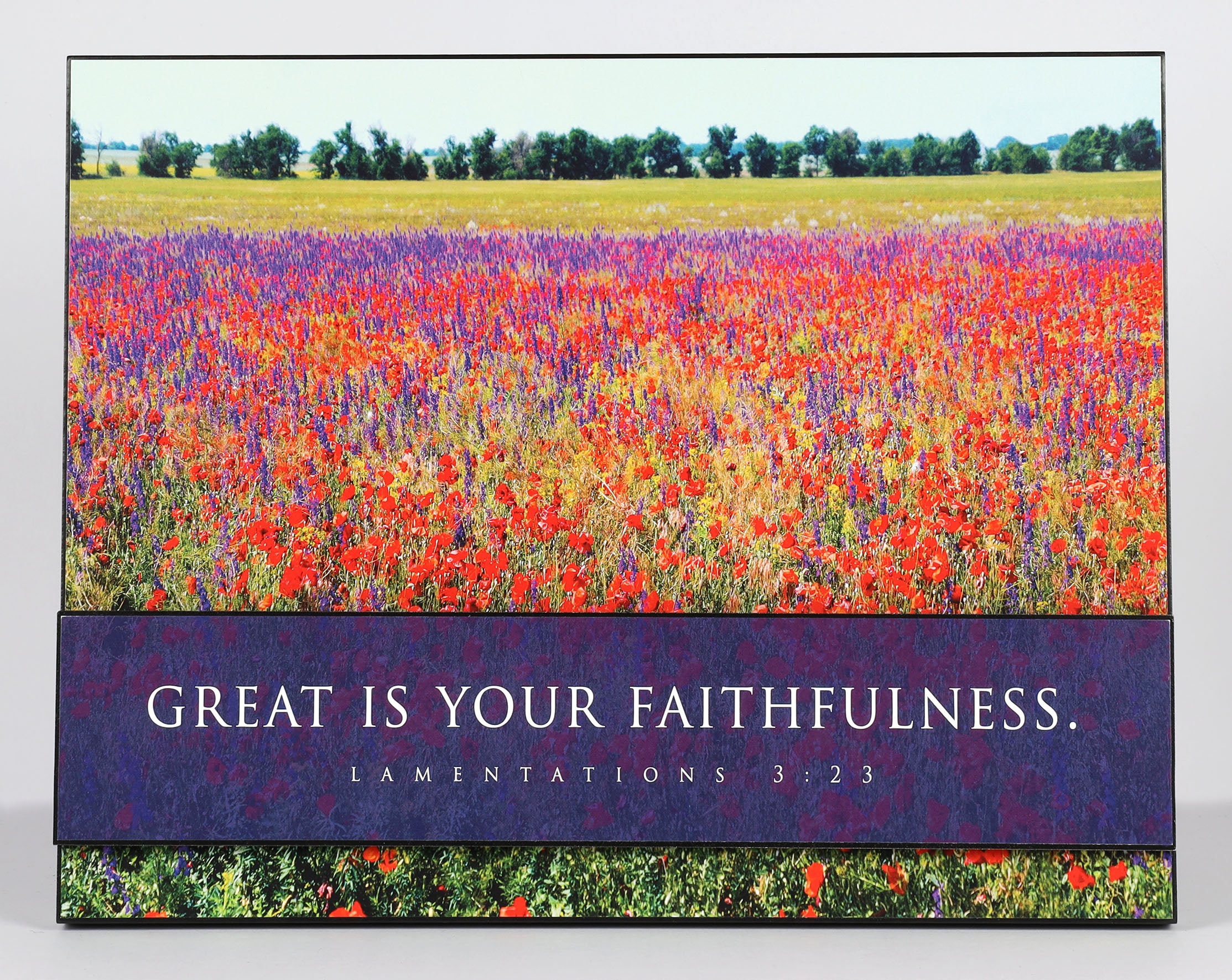 Wall Art: Great is Your Faithfulness (Lamentations 3:23)