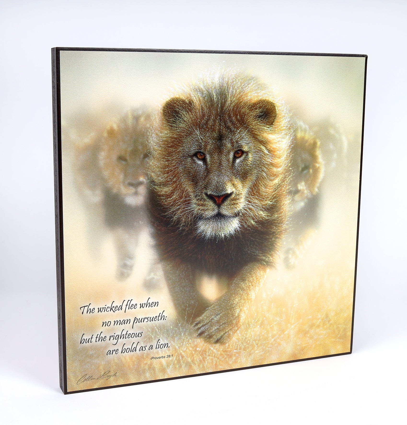 Wall Art: Bold as a Lion By Collin Bogle, Proverbs 28:1