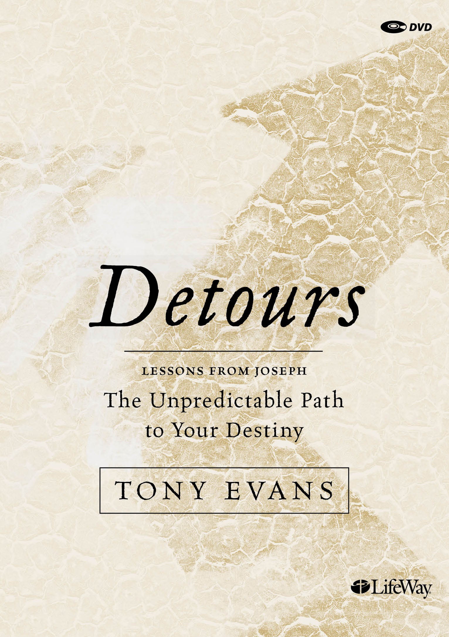 Detours (2 Dvds, 183 Miniutes): The Unpredictable Path to Your Destiny (Dvd Only Set)
