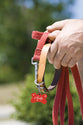 Keyring: Dog Bone, Red Anodized Aluminium