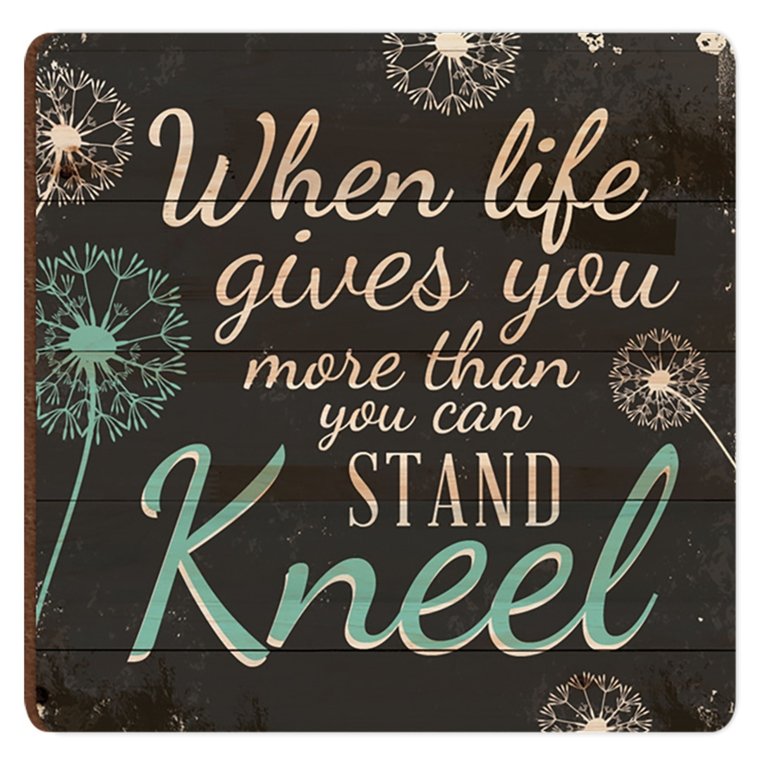 Magnet: When Life Gives You More Than You Can Stand Kneel, Dandelion Pallus