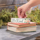 Tabletop Decor: Be Kind, Roses (Pine)