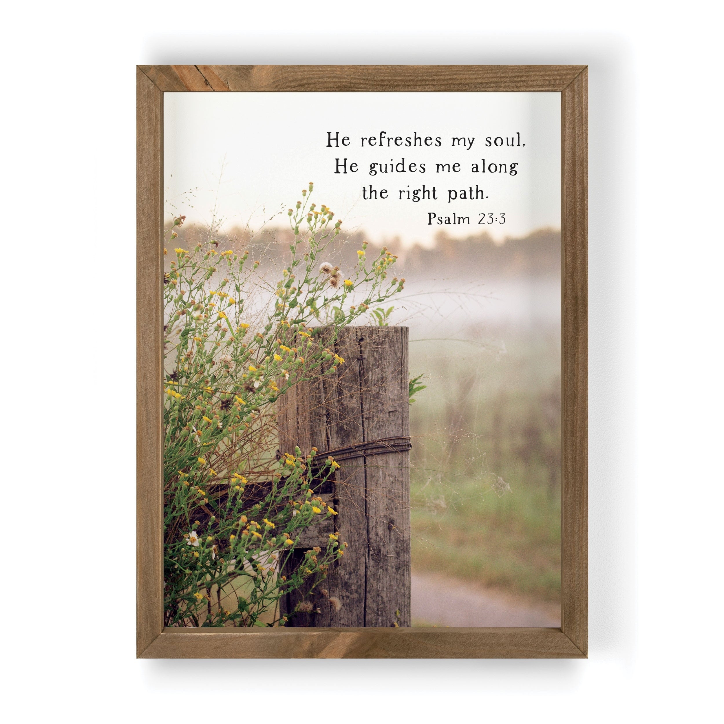 Framed Wall Art, Mdf/Pine: He Refreshes My Soul. He Guides Me Along the Right Path, Psalm 23:3