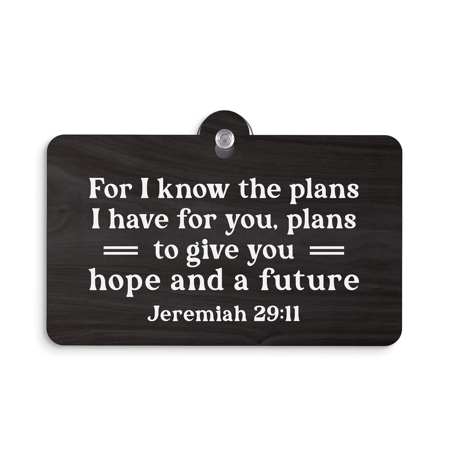 Plaque, Hdf: For I Know the Plans I Have For You Plans to Give You Hope and a Future, Jer. 29:11