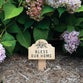 Outdoor Décor: Bless our Home Stake/Sign (Pine)