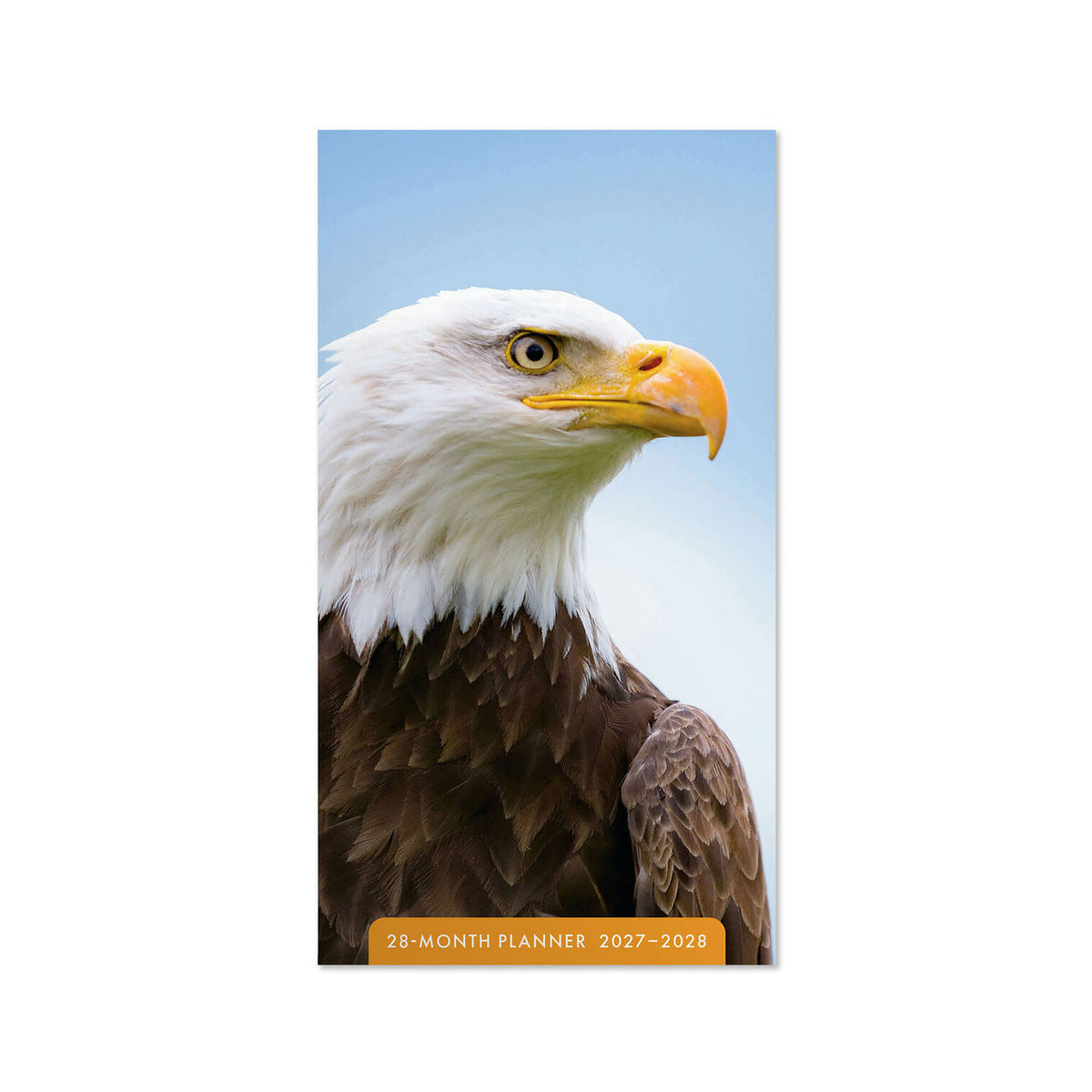 2027 28-Month Diary/Planner: Eagles (Dated Sept 2026- Dec 2028)