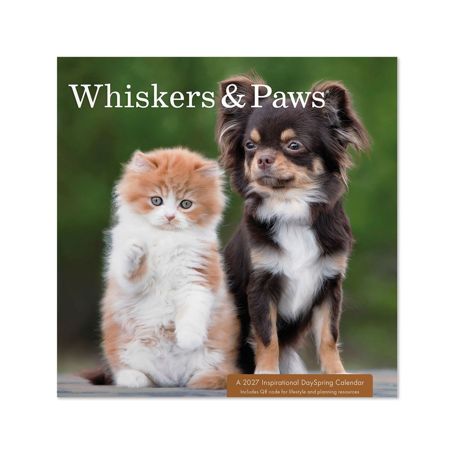 2027 12-Month Mini Wall Calendar: Whiskers & Paws