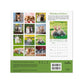 2027 12-Month Mini Wall Calendar: Whiskers & Paws