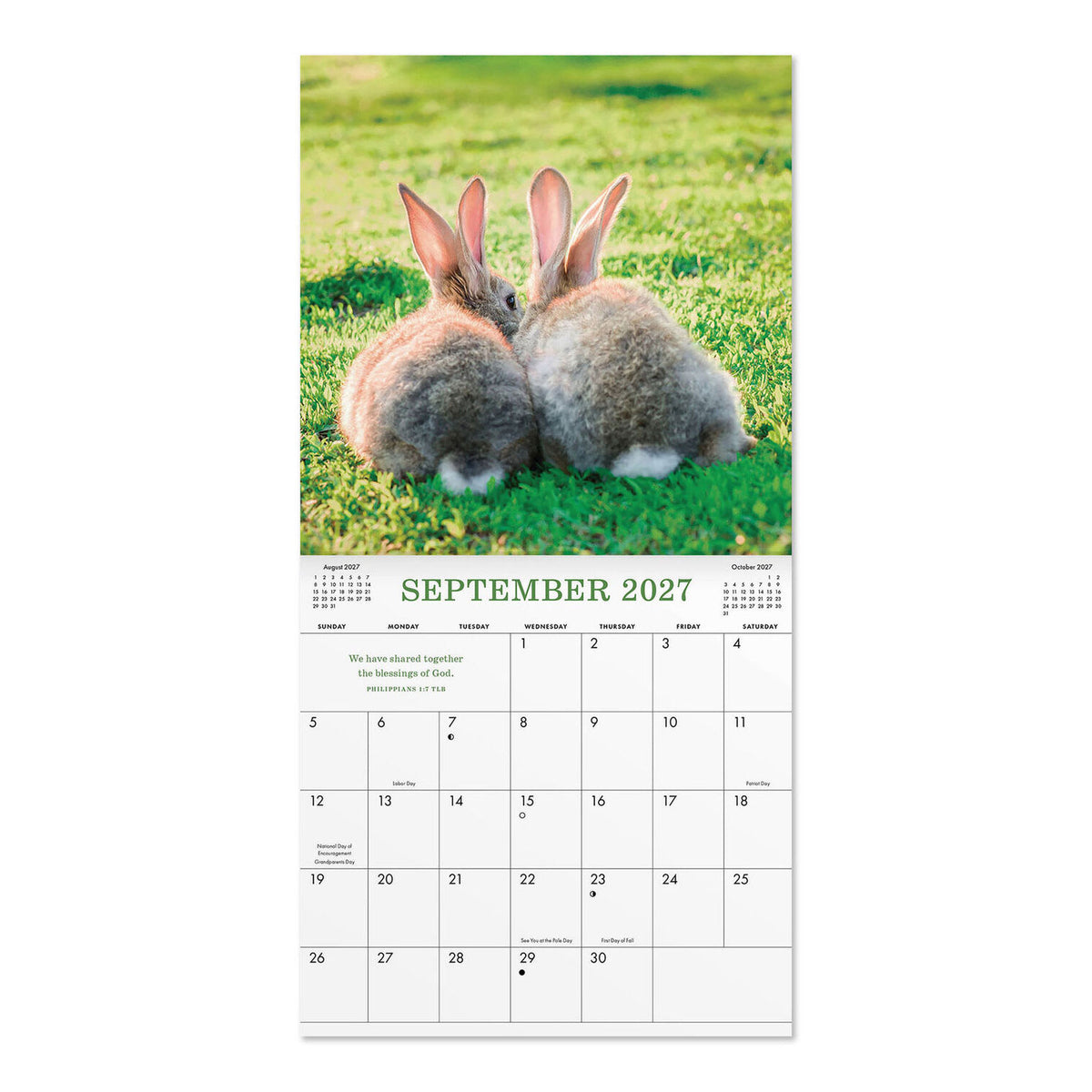 2027 12-Month Mini Wall Calendar: Whiskers & Paws