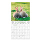 2027 12-Month Mini Wall Calendar: Whiskers & Paws