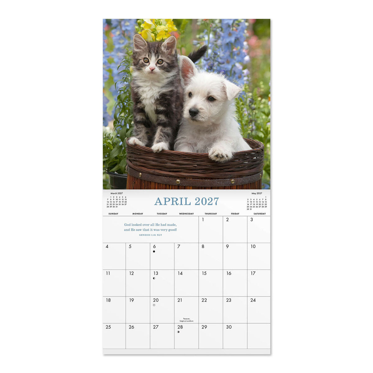 2027 12-Month Mini Wall Calendar: Whiskers & Paws