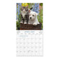 2027 12-Month Mini Wall Calendar: Whiskers & Paws