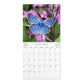 2027 12-Month Wall Calendar: Psalms