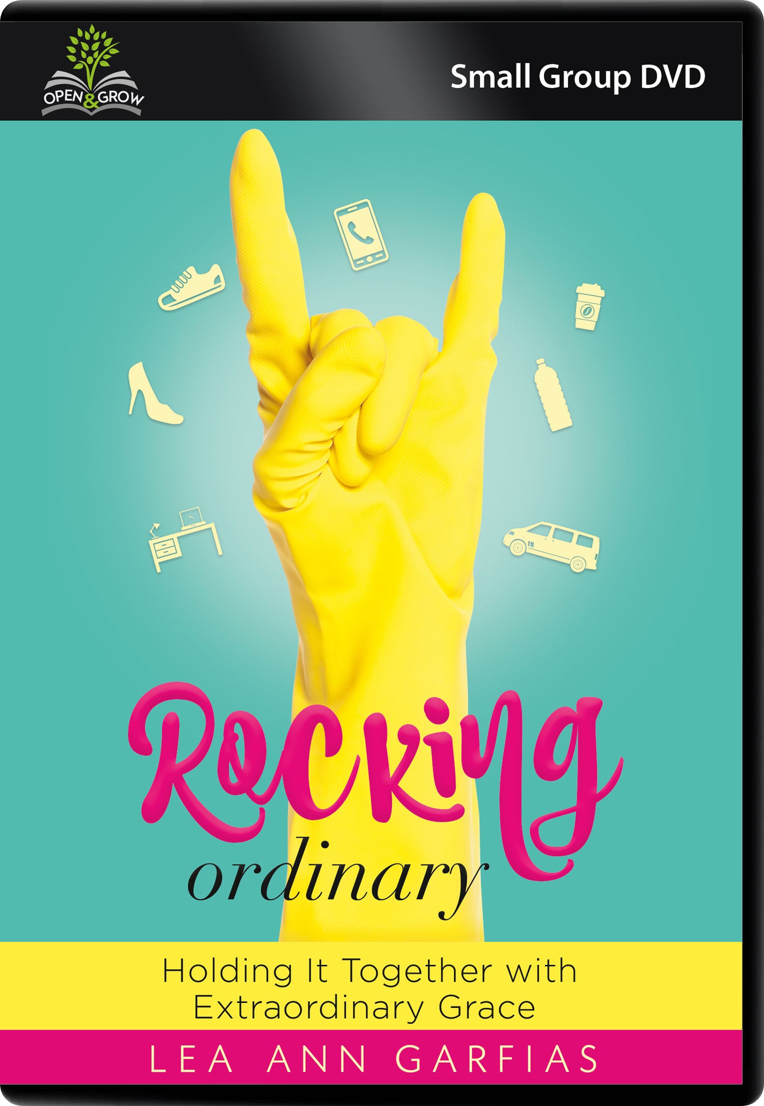 Rocking Ordinary (Small Group DVD) (Open & Grow Series)