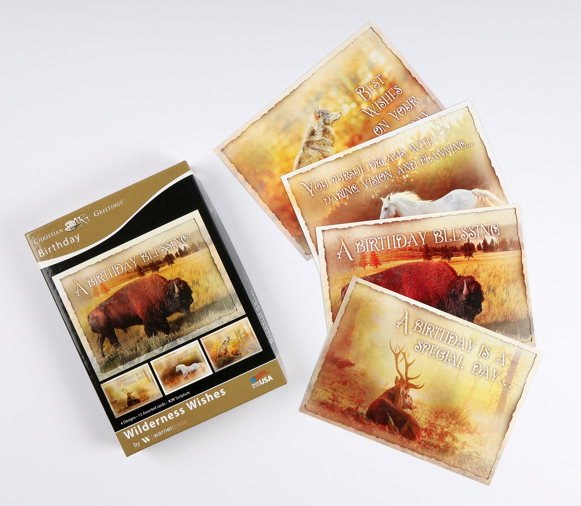 Boxed Cards: Birthday - Wilderness Wishes (Kjv)