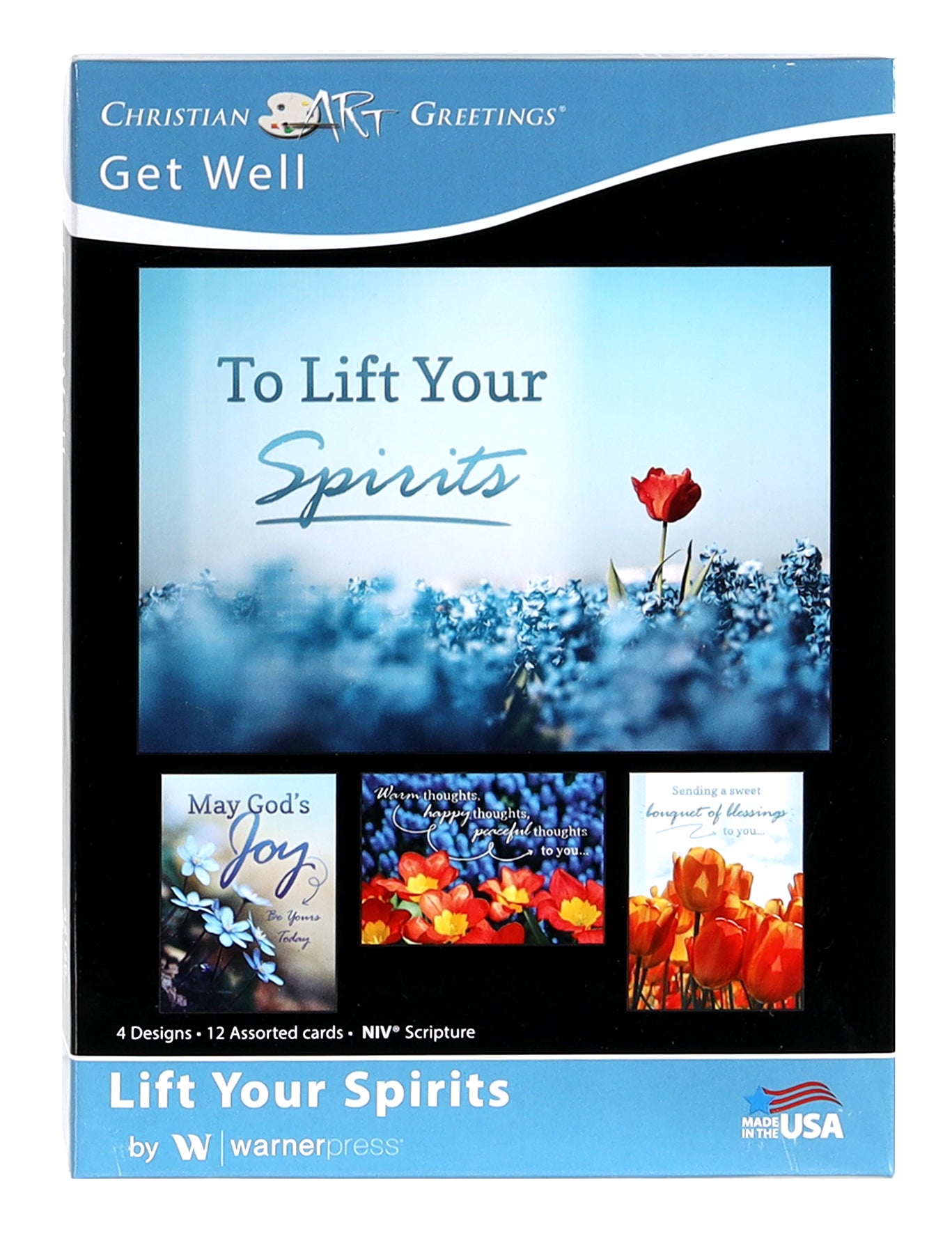 Boxed Cards: Get Well - Lift Your Spirits (Niv)