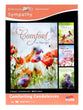 Boxed Cards: Sympathy - Comforting Condolences (Nkjv)