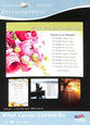 Boxed Cards: Encouragement - What Cancer Cannot Do (4 Designs, 12 Assorted Cards, Kjv)
