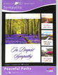 Boxed Cards: Sympathy - Peaceful Paths (4 Designs, 12 Assorted Cards, Niv)