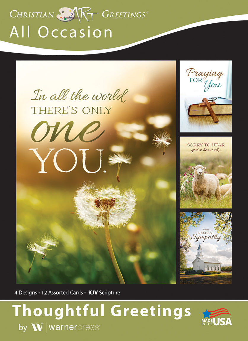 Boxed Cards: All Occasion - Thoughtful Greetings KJV (12 cards, 3 each of 4 designs)