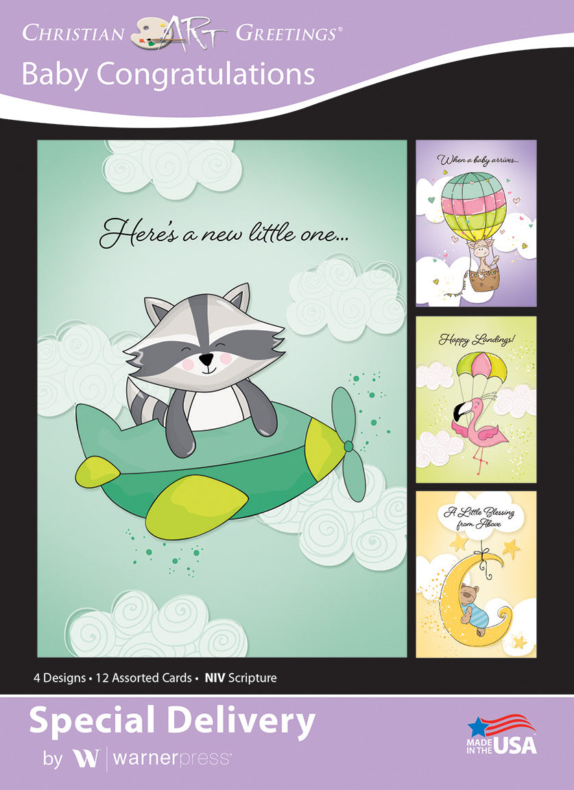 Boxed Cards: Baby Congratulations - Special Delivery NIVR (12 cards, 3 each of 4 designs)