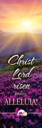 Bookmark - 25 Pack: Christ The Lord Is Risen Today