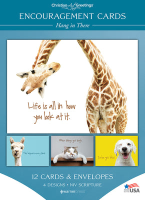 Boxed Cards Encouragement: Hang in There, NIV (12 cards/envelops, 3 each of 4 designs)