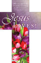 Bookmark Cross-Shaped (25 Pack): Easter, Jesus Lives! (1 Cor 15:4 KJV)